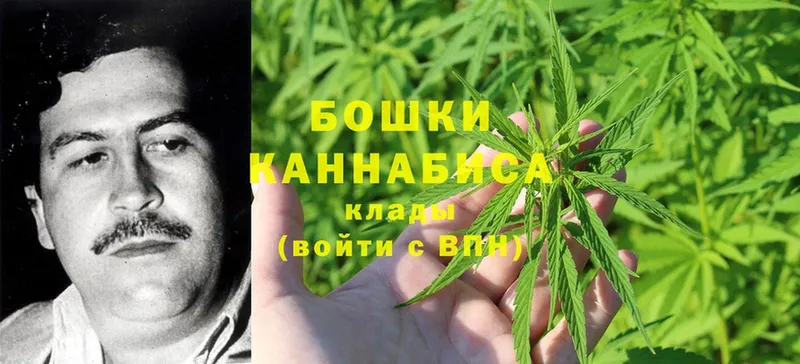 omg маркетплейс  Нестеровская  Бошки марихуана VHQ 